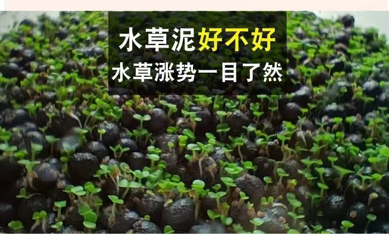 c5ea3032-ae9f-44e3-a337-d49b27f43ca4.jpe