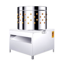 ����Óë�C늄Ӱ�ë�C��ë��ȫ�ԄӰ�ë��������Óë�C����Óë�C