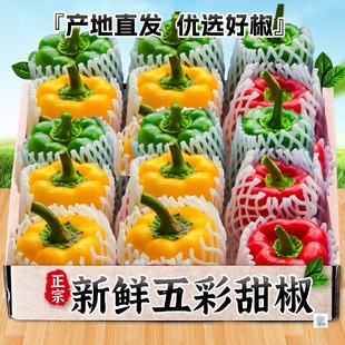 ���r����𽷉۹�a��ֱ�l����֭�����Ե�֬�����A����ɫ����
