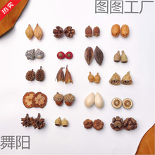 ��Ȼֲ����h�������diy���ӄ��₀�Զ��h���Ͽɐ���Ů���F���h