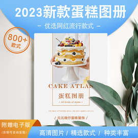 网红2023年新款蛋糕图册生日蛋糕样品书高清图片画册烘焙店挑选用