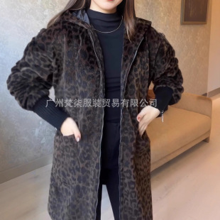 �W���羳2025�����R�d�¿�r�����e���y�����L������Bñ���Ӵ���