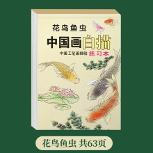 中国画基础入门花卉 动物 人物 山水篇 工笔画国画白描临摹本画册