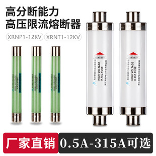 �߉������۔���XRNP1-10/12KV0.5A�߷֔��������UPT�۹�XRNT-63
