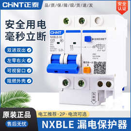 NXBLE正泰2P家用10安总电闸空气开关220V单相16A20A32A漏电保护器
