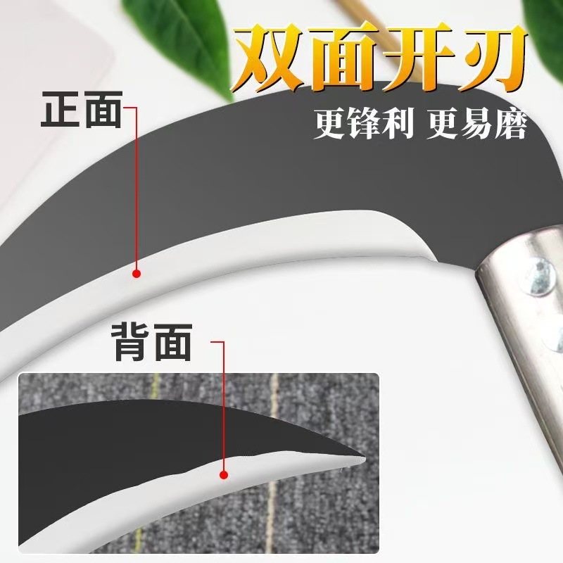 微信图片_20260619110427_60_4.jpg