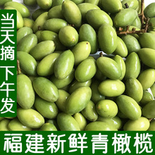 u2024rϙϙˮЋDҜ̴ϙ̖