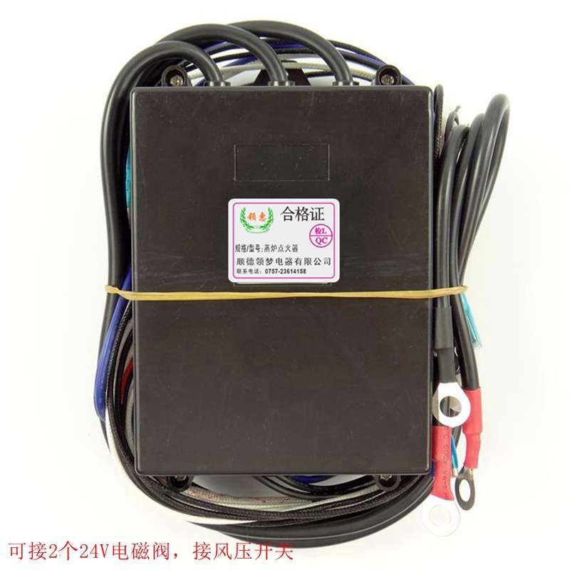 Lingmeng marca de alta calidad vapor pulso encendedor de conexión doble 24V válvula solenoide ahorro de energía rey comercial controlador de vapor