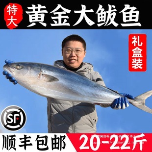 �ش��E�~22-20�ﺣ�~���r�������l�R�o�~������E�~���l�Y��