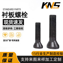 �S�ҹ����r����˨ �Z���z �E�A�^��˨ �ǘˮ���������˨�gӭ��D