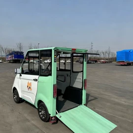 其他电动车;电动代步车;电动三轮车