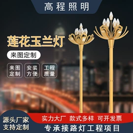 太阳能灯;道路照明灯;路灯