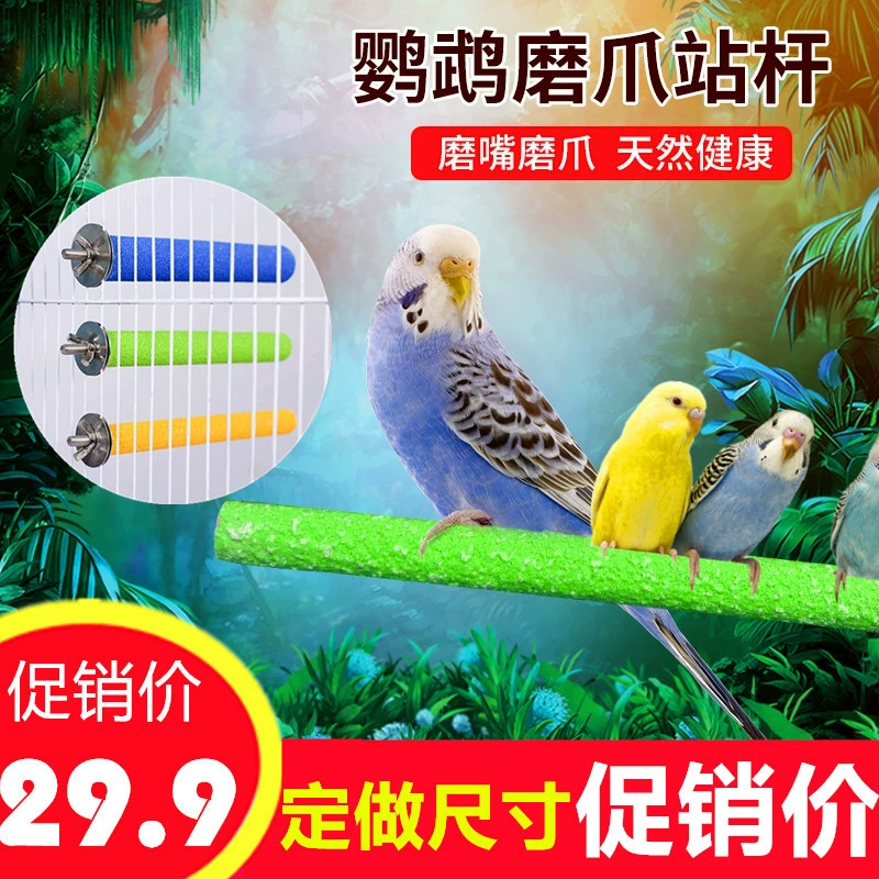 Попугай матовая подставка стержень из тигровой кожи пион Xuanfeng шлифовальный коготь палка подставка для птиц стержень шлифовальный рот маленький Солнечный монах серый аксессуары для клетки для птиц