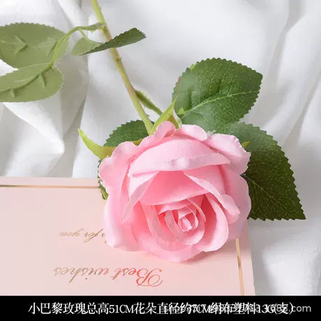 Single small paris rose pink