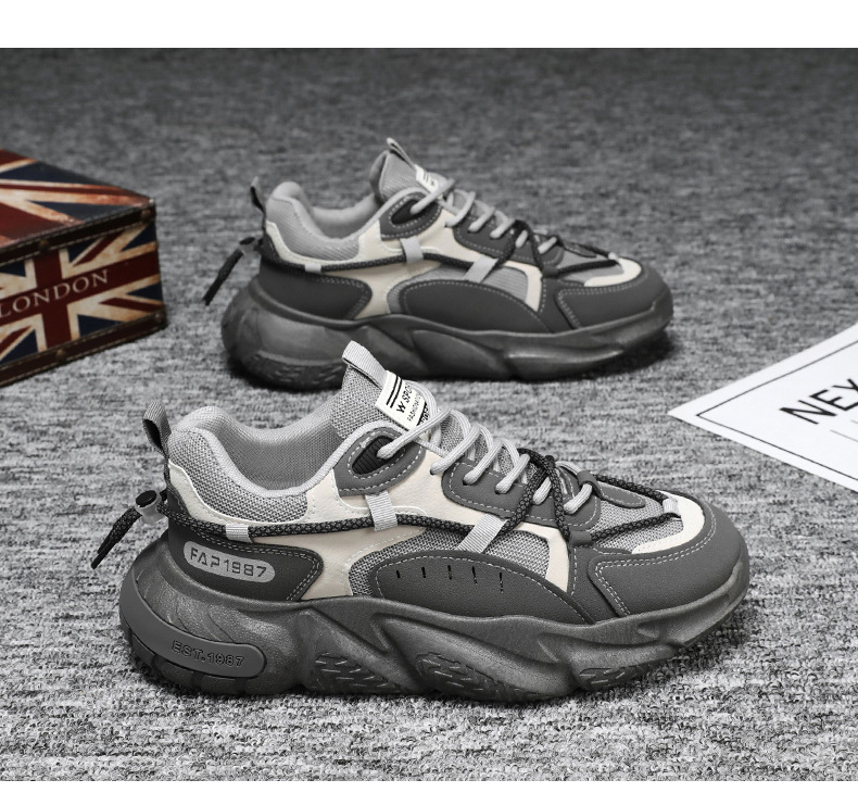 일반 버전 2038 그레이