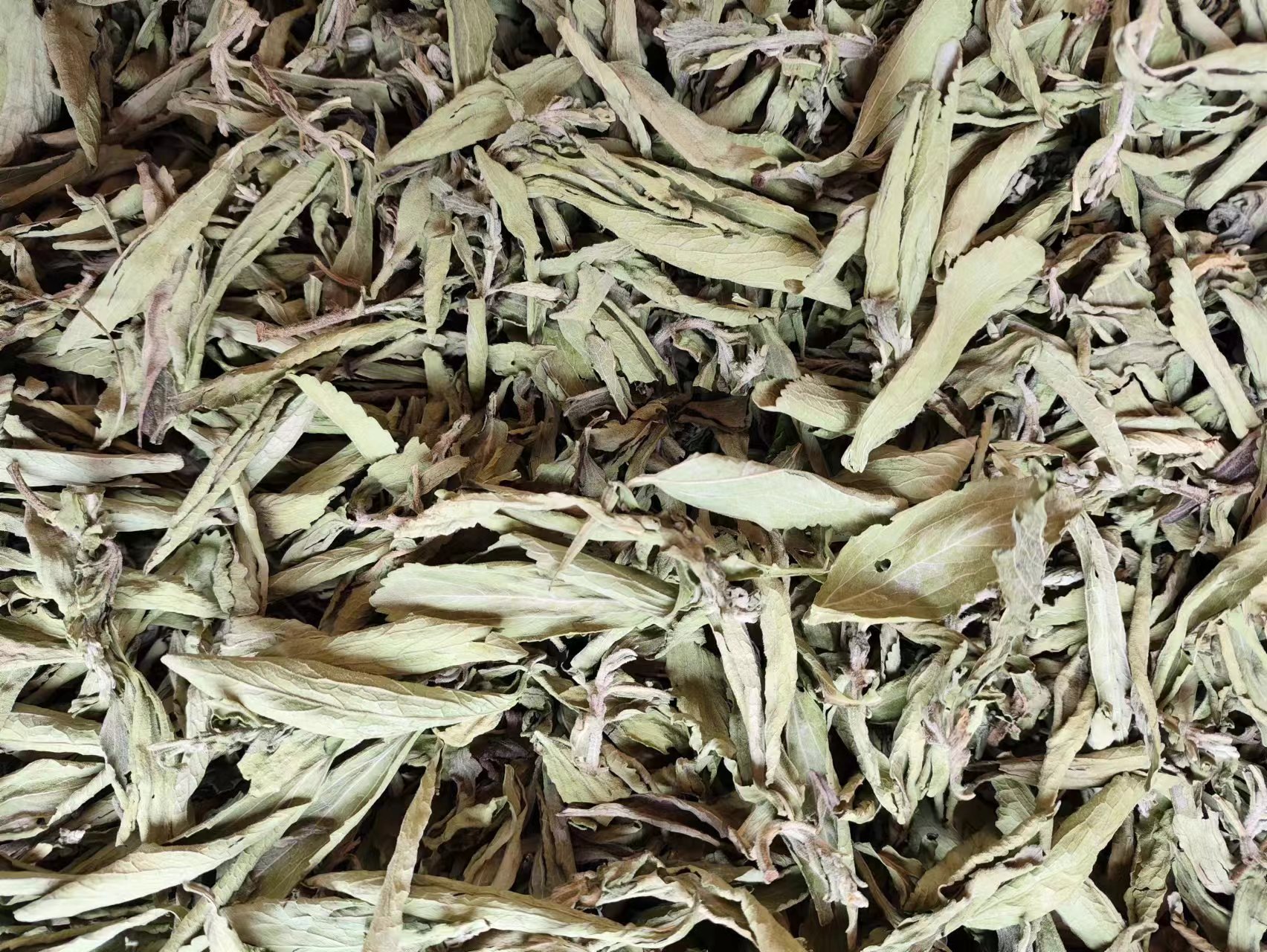 Stevia Leaf (Stevia rebaudiana) — Dried Sweet Herb for Tea & Natural Sweetening specifications