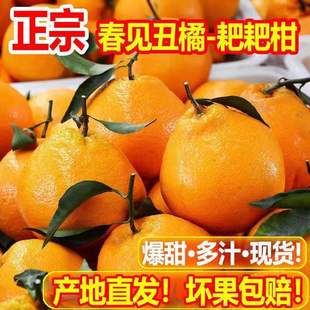 �Fժ�F�l�Ĵ���Ҋ�ҰҸ��ք���Ƥ���r����ˮ�����������̳���һ��