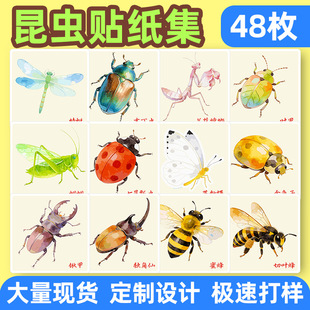 48�����x�T�f�N�����ƿ羳��ͨ���x���������b��������ˮ�N��