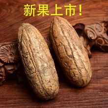 千眼菩提子原籽菩提绿果白果红色大胖果手把件原果原料精选