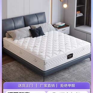 ���|ϯ��˼��������Ҭ��20CM������������zܛ�|ʮ��