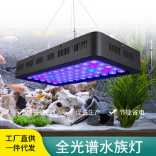 海水魚燈 海水魚燈批發 促銷價格 產地貨源 阿里巴巴 海水魚燈 海水魚燈批發 促銷價格 產地貨源 阿里巴巴