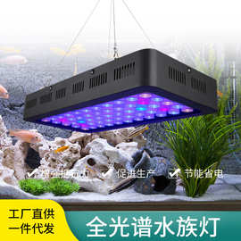 メロンひまわりフィクション海水魚照明led Garden Cafe Jp メロンひまわりフィクション海水魚照明led Garden Cafe Jp