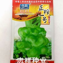 方政正榨一号小叶榨菜种子四川大头菜榨菜头青菜头芥菜秋季蔬菜种