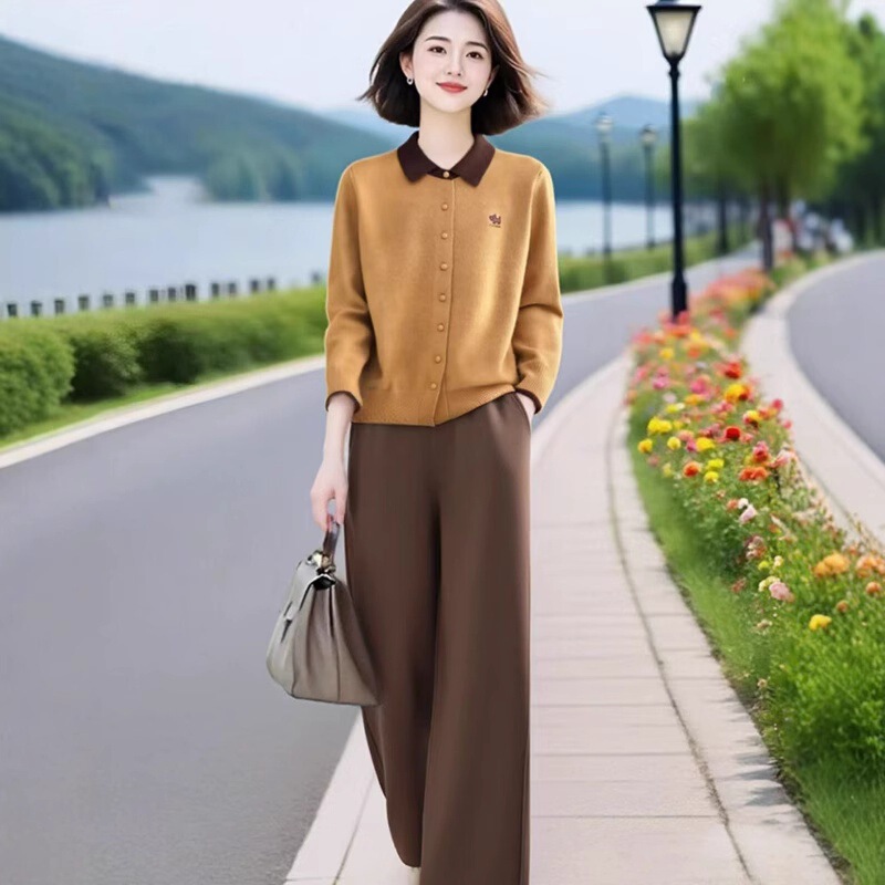 时尚休闲套装女秋季高级设计感时尚洋气减龄显瘦阔腿裤气质两件套|undefined