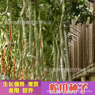 ���L�߶��N���߹��r�Ҳˈ@ͥԺ�׷Nֲ�����ļ��^�pʳ���߲����ļ�