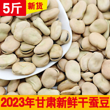 甘肃特大生干蚕豆干货生的新鲜嫩胡豆2023年新货5斤装蚕豆种子籽