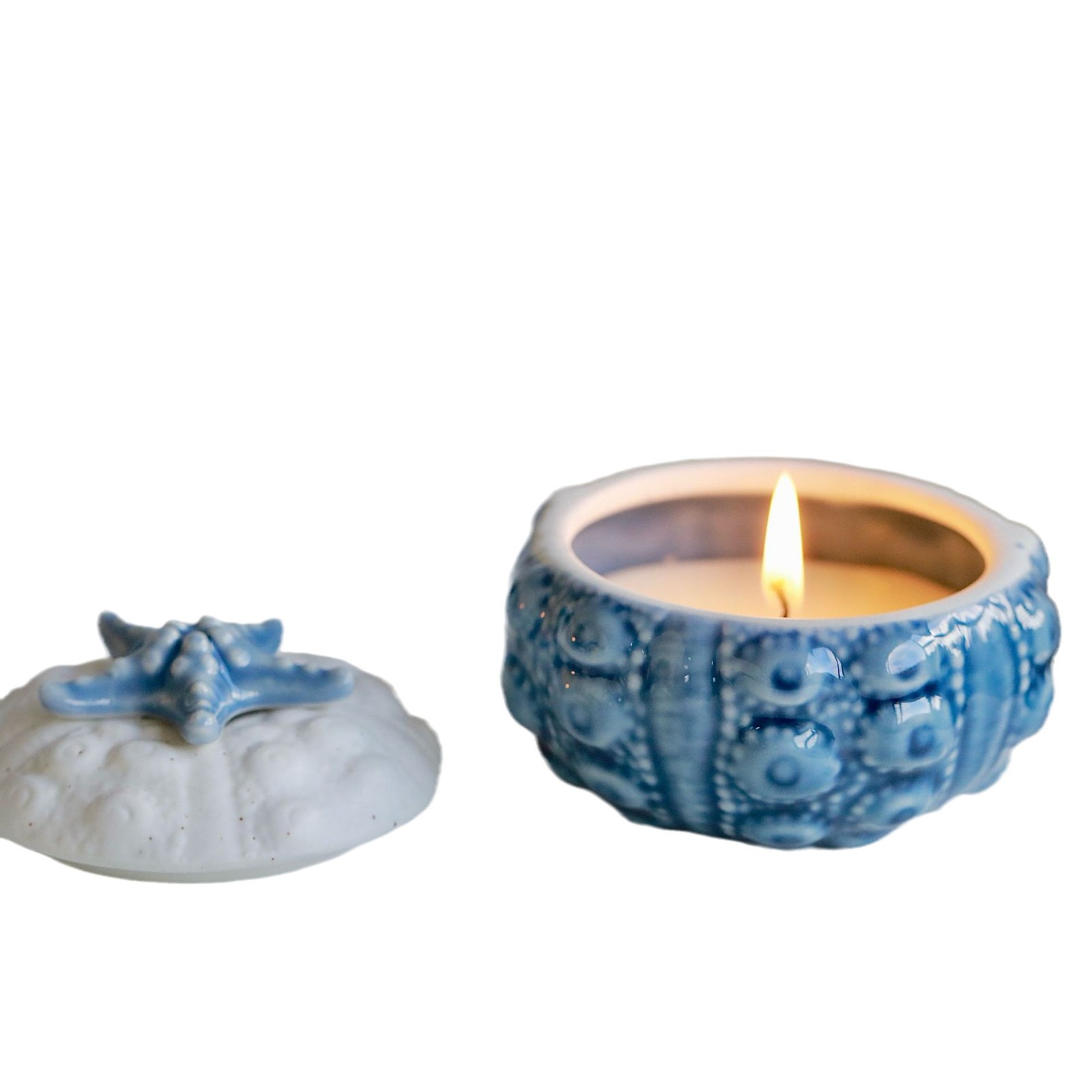 Vela aromática artesanal de cera de soja em forma de concha_voghion.com