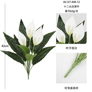 ����Gֲ����t���~�Gɫֲ��羳�}�Q�Ҿ�ͥԺ���@�bt�ؙ��ٻ�