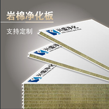 岩棉净化保温板食品厂隔墙保温管无菌房手工洁净室A级防火用