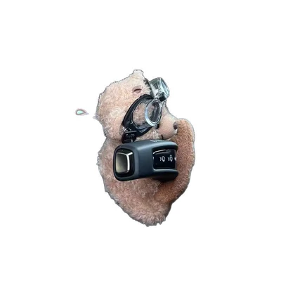 Car ornaments – Bear Leader Dog Car