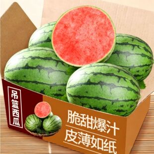 ���x���@С������˺�����������r��ժ��Ƥ�t�������˺��������