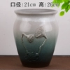 Lotus color Hua.Light green lotus large diameter