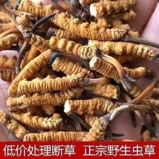 ��ݶ��x�Ĳݶ��x�ݔ��x�ݴ���x�ݲ؅^�������a�ݾ��x�����l