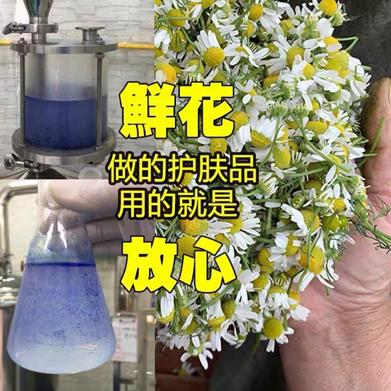 洋甘菊纯露厂家直供批发新疆伊犁罗马洋甘菊25kg无香精无稀释出口