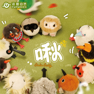 ������ȻైF��ϵ�В�żС�Bë�q��ż��߰���С�������}�Q�Y��