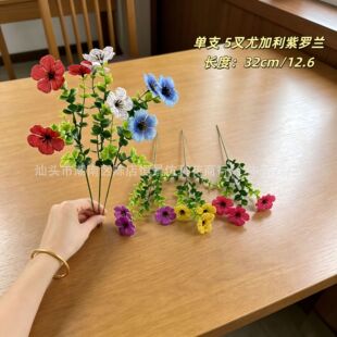 �羳���R�d����Gֲ��֦5���ȼ������_�m�ٻ�ͥԺ��c���b[��