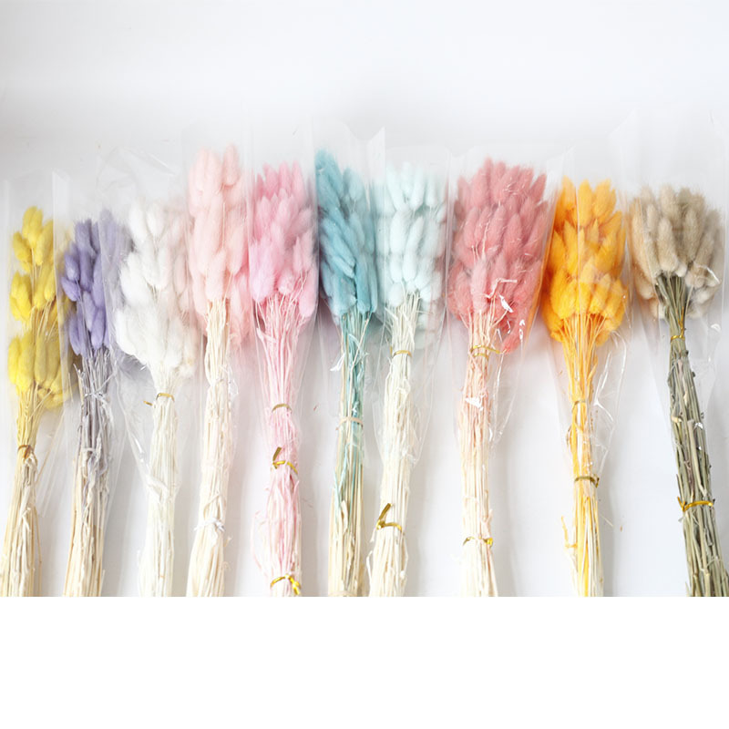 Dyed rabbit tail grass dried flower eternal flower colorful Dogtail grass home decoration Yunnan factory dried flower wholesale
