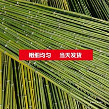 竹竿菜园搭架蔬菜黄瓜番茄豆角架杆竹篱笆栅栏小竹子细竹竿爬藤架