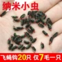 手工纳米昆虫白条假饵