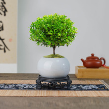 С�~����辰�Ϙ�������ֲ���҃Ȼ����k���ҽ�z�ľ�ļ�С�Gֲ