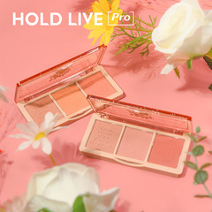 HOLD LIVE Secret Garden Three Color Blush Eyeshadow Tea Brown Rose Almond Milk Tea Nude Makeup Natural HL461