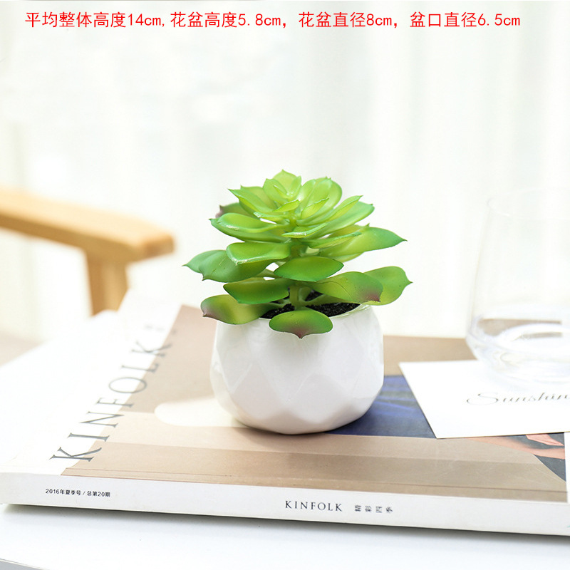 Sandía rojo gran diamante lava verde loto ☆