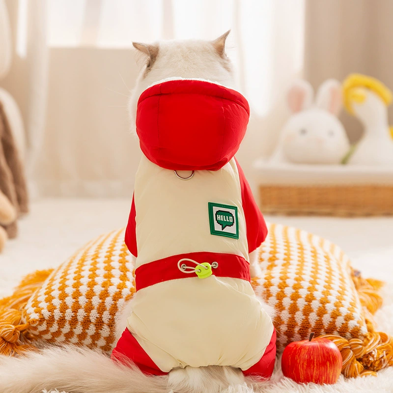 Кошачья одежда осенью и зимой