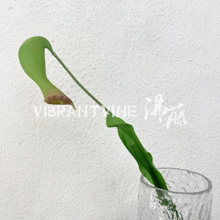 �̈���픠����b��滨����Gֲ������i�\�ݲ�ω�����ϼٻ��廨