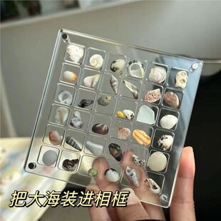 New Creative Acrylic Transparent Shell Storage Box Seaside Stone Small Shell Collection Magnetic Storage Display Box