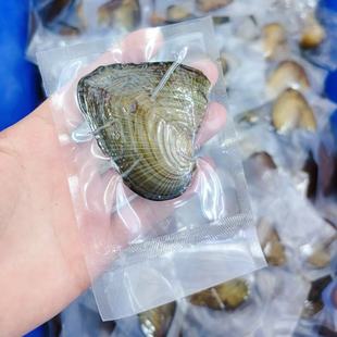 Vacuum packaging small pearl clam one clam one bead bag pop can clam necklace gift box suit spread clam